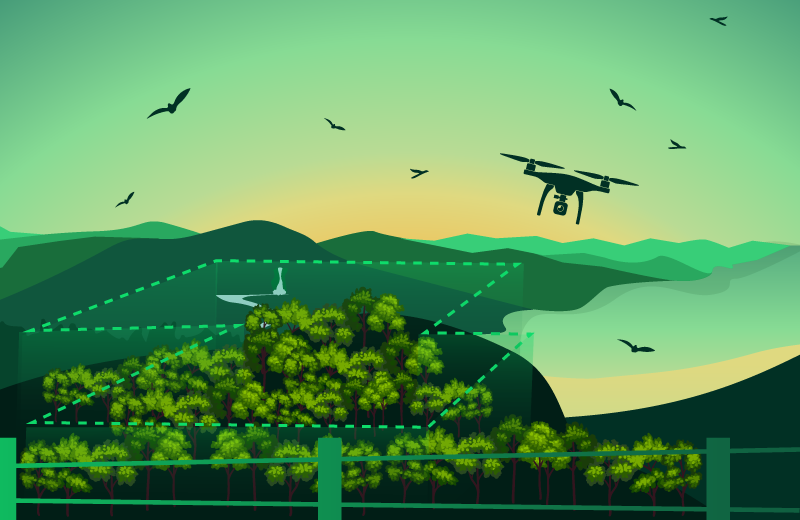 Imagem do curso: Criação de Reservas Particulares do Patrimônio Natural - RPPN